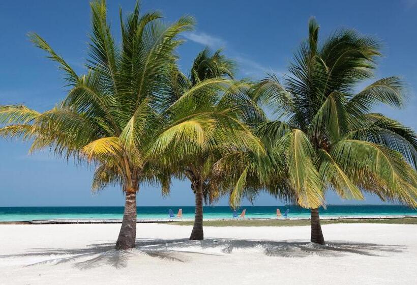منتجع Royal Belize