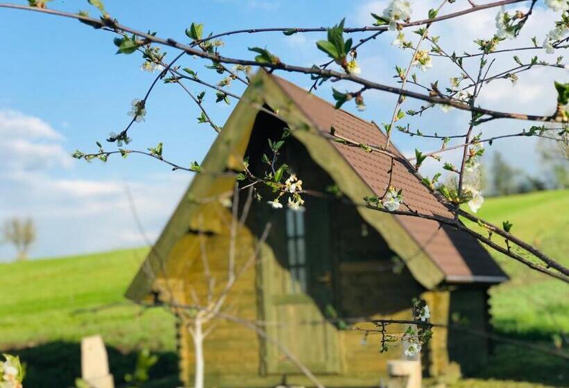 Bed and Breakfast Pensiune Rozalia Camping