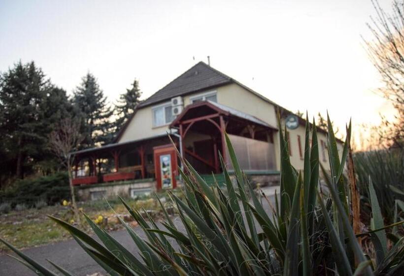 ベッドアンドブレックファースト Fortuna Panzio