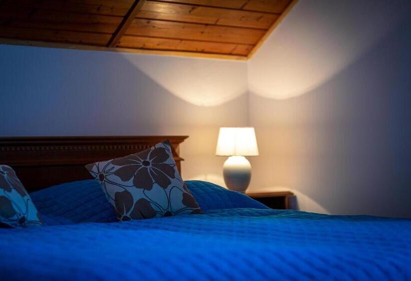 Bed and Breakfast Sárosdi Pince és Panzió