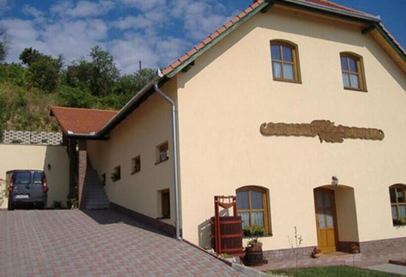 Bed and Breakfast Sárosdi Pince és Panzió