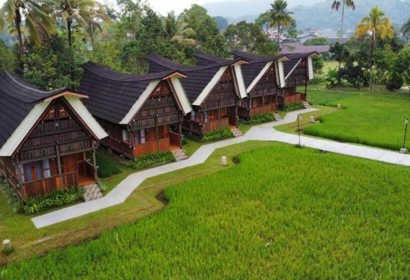 استراحتگاه Toraja Misiliana