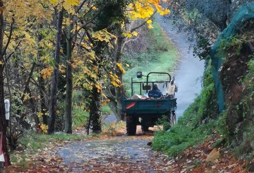 Nature S Rustico   Quiet Location   Picturesque