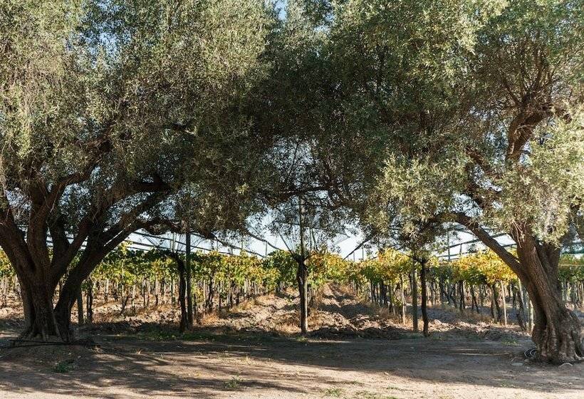 فندق فئة نجمة واحدة Posada Bonarda