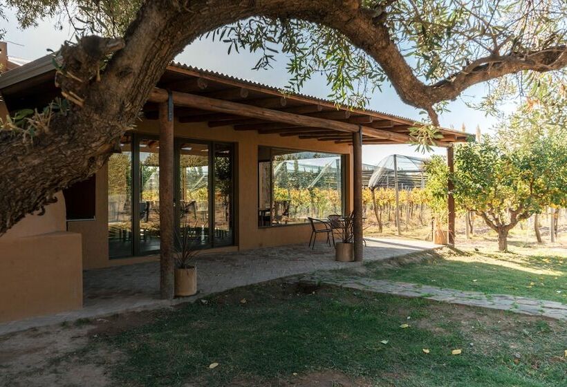 فندق فئة نجمة واحدة Posada Bonarda