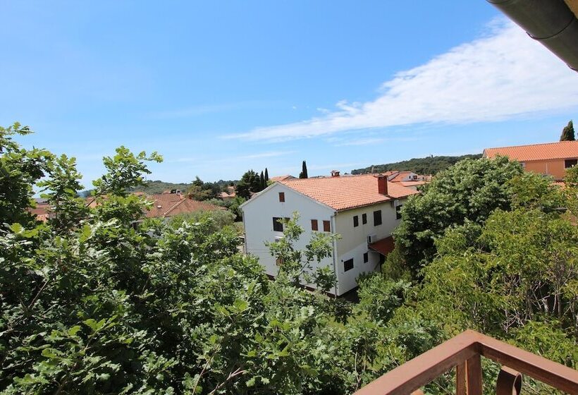 بنسيون Apartments And Rooms Dino