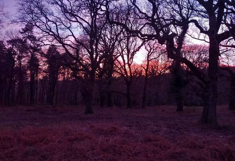 إقامة The Bungalow, Forest Of Dean