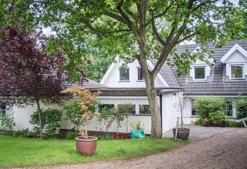 Резиденция Large 3 Bed House With Separately Bookable Studio