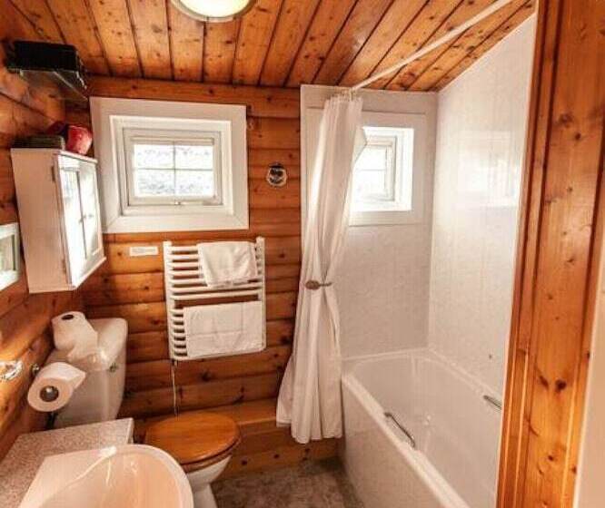Spacious 3 Bed Log Cabin In Snowdonia