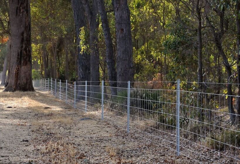 Wilga Farm Stay   Shearer S Shacks   Single