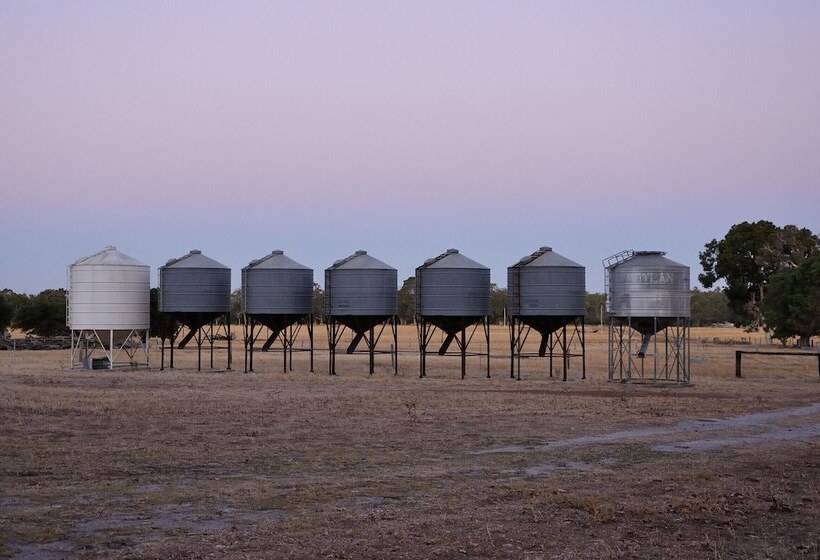 Wilga Farm Stay   Shearer S Shacks   Single