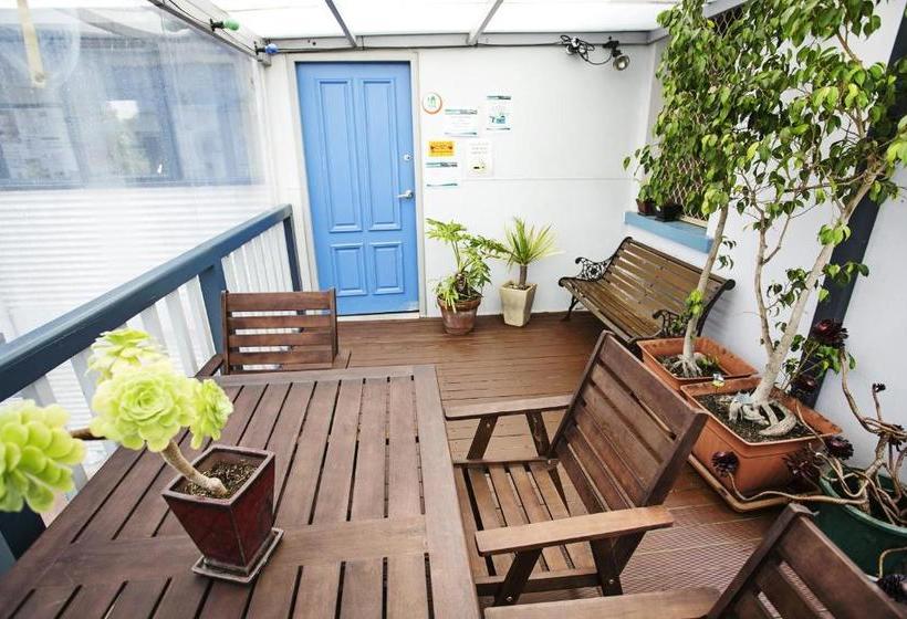 هاستل Albany Bayview Lodge Yha