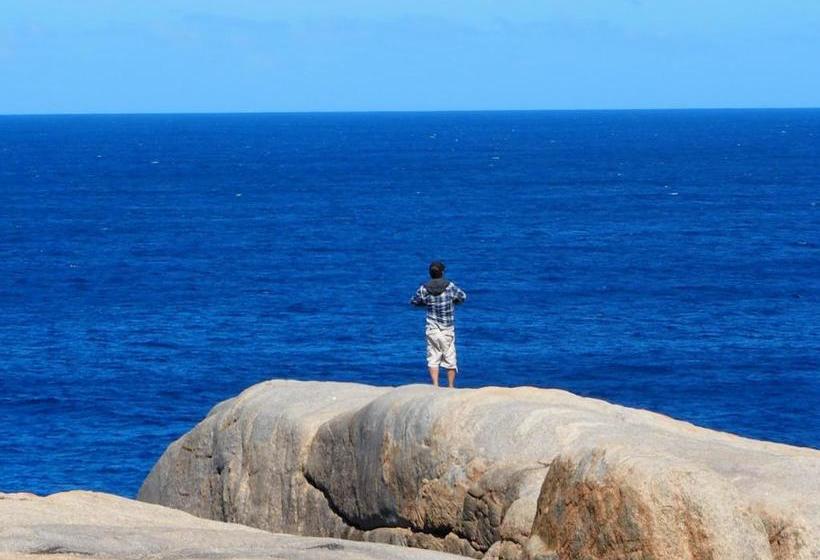 هاستل Albany Bayview Lodge Yha