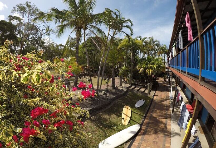فندق صغير Cool Bananas Backpackers