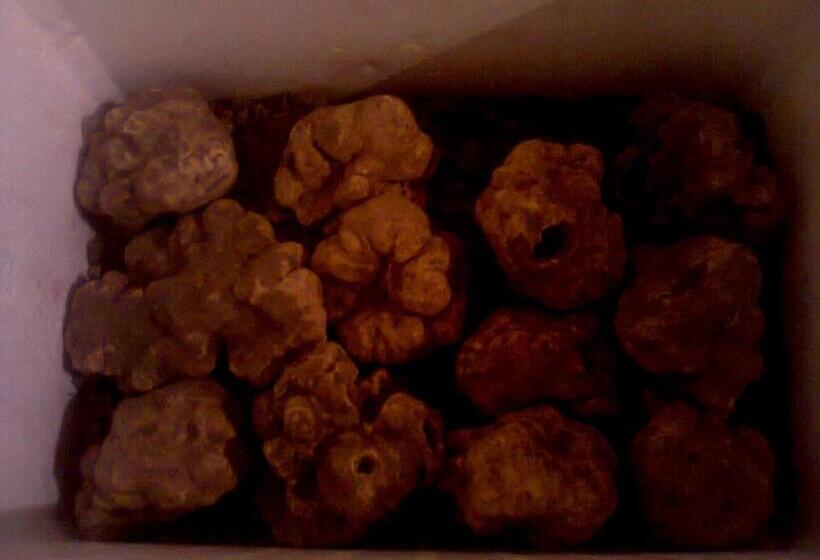 민박 Locanda Degli Sfizi