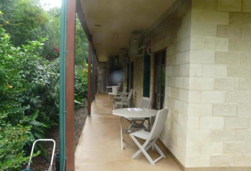 Curtain Fig Motel