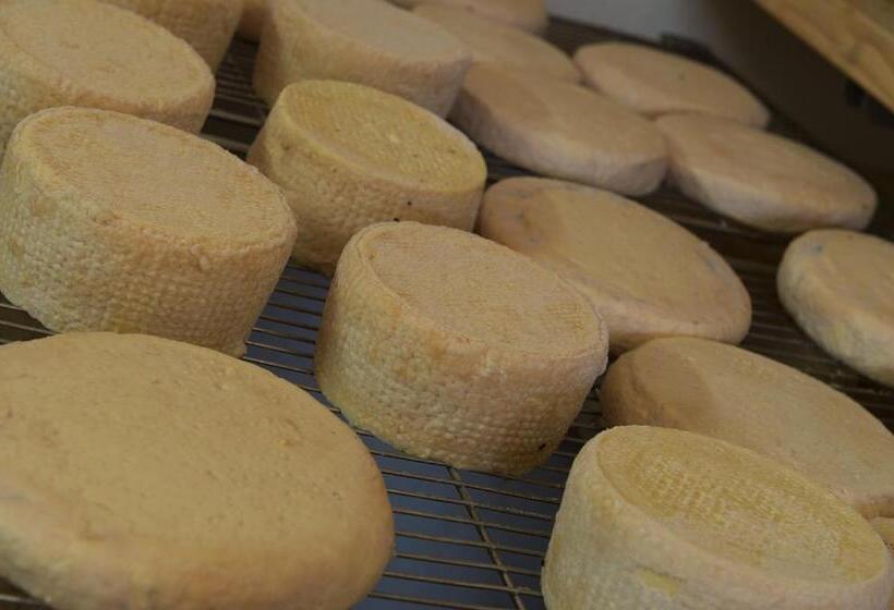 فندق Gallo Cedrone