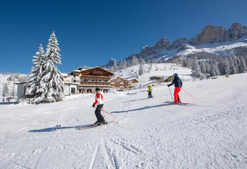 Отель Moseralm Dolomiti Spa Resort