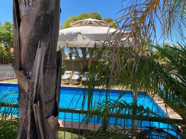 מוטל Orana Motor Inn