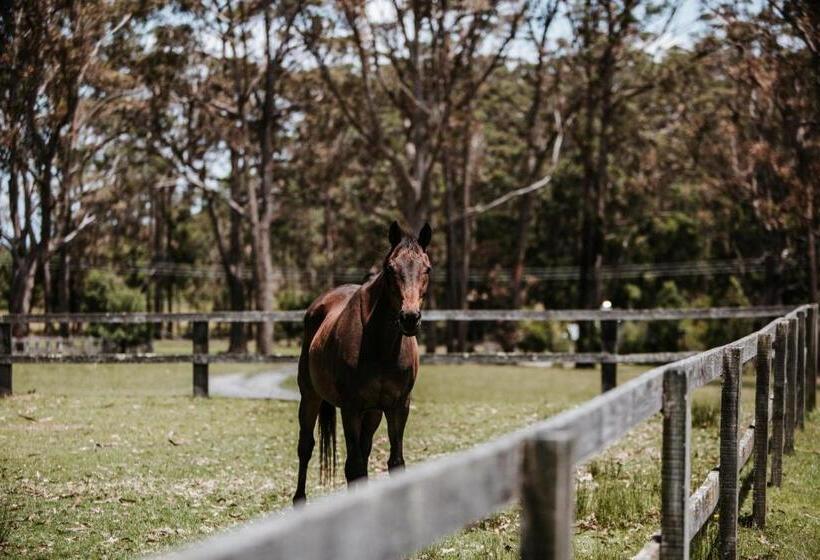 Курорт Worrowing Jervis Bay