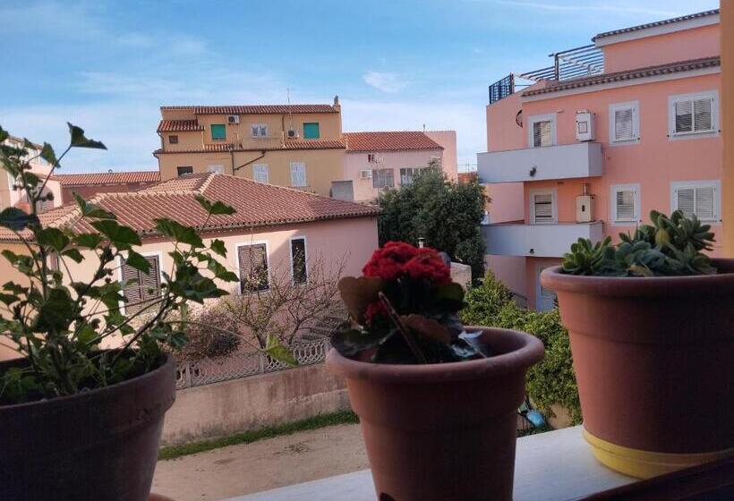 膳宿费 La Maddalena B&b Da Marco