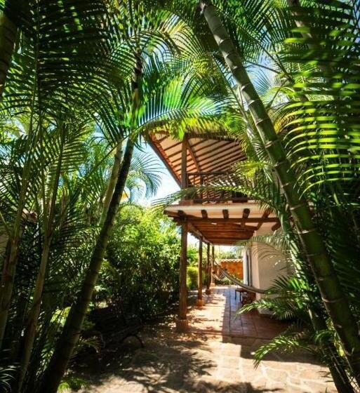 هتل Masaya Achiotte   Junior Suite   Colombia