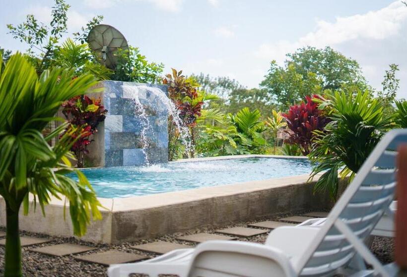 فندق Root Wellness Arenal