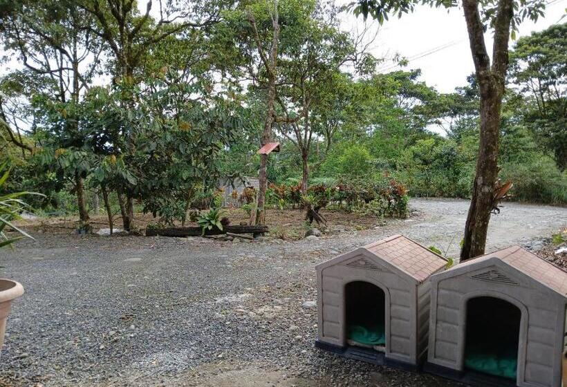 مبيت وإفطار Fevu Vera Forest House