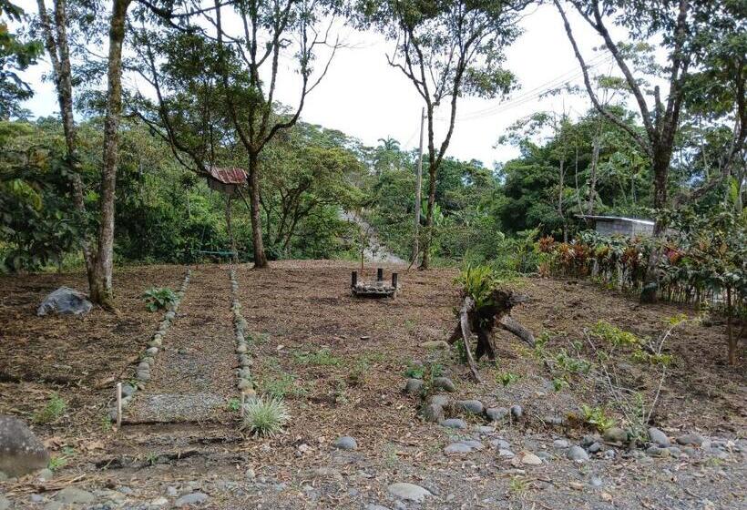مبيت وإفطار Fevu Vera Forest House