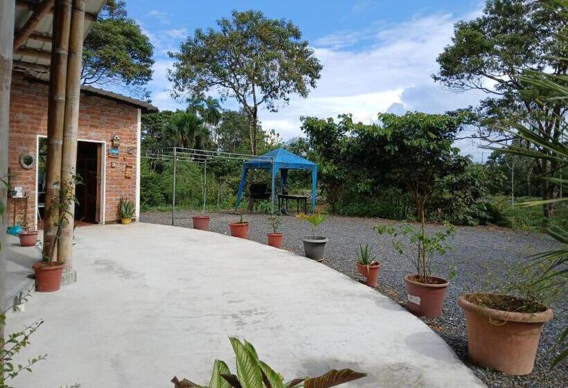 مبيت وإفطار Fevu Vera Forest House