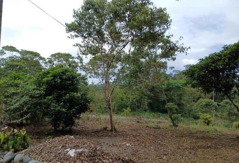 مبيت وإفطار Fevu Vera Forest House