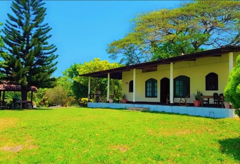 فندق Casa Reyna
