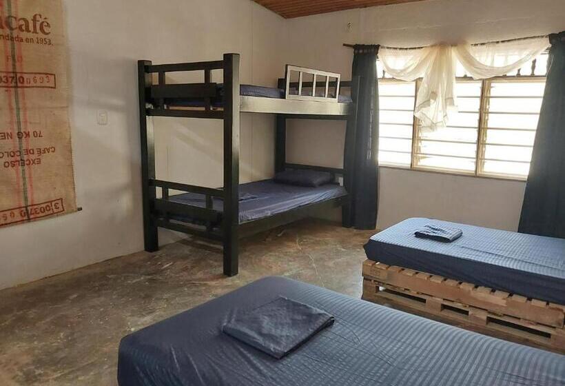 هتل Hostel Nugeku