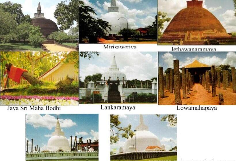 بنسيون Ari Paradise