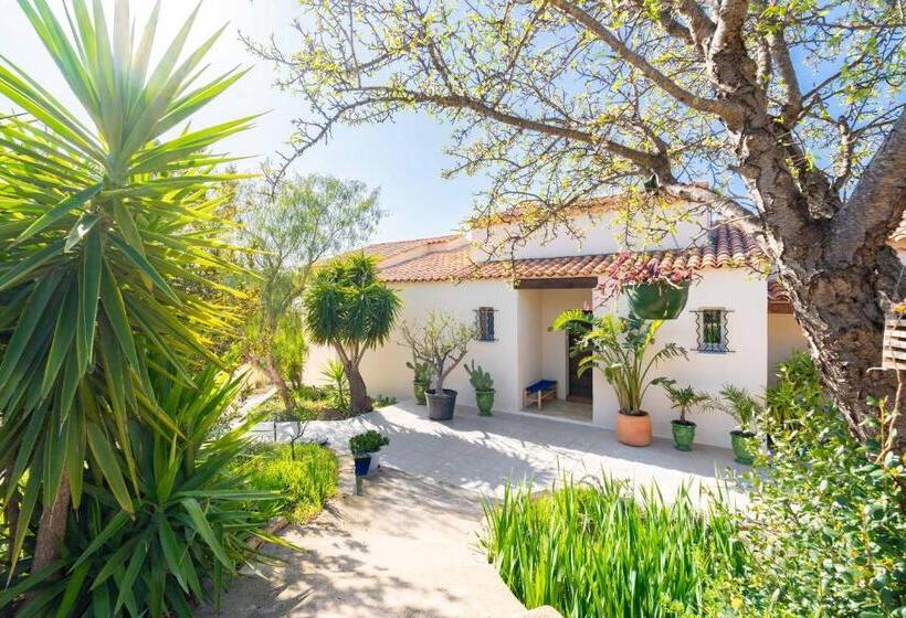 Bed and Breakfast Les Cactus Bleus