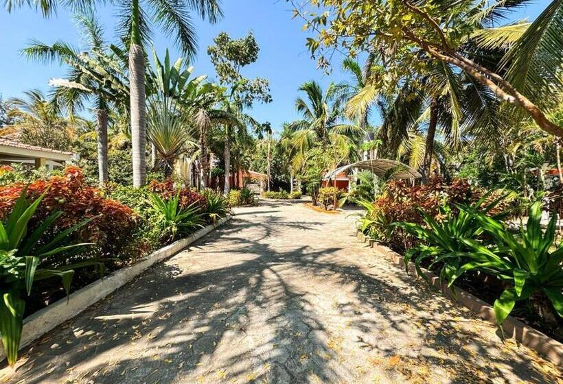 בית מלון כפרי Moonwalk Beach House