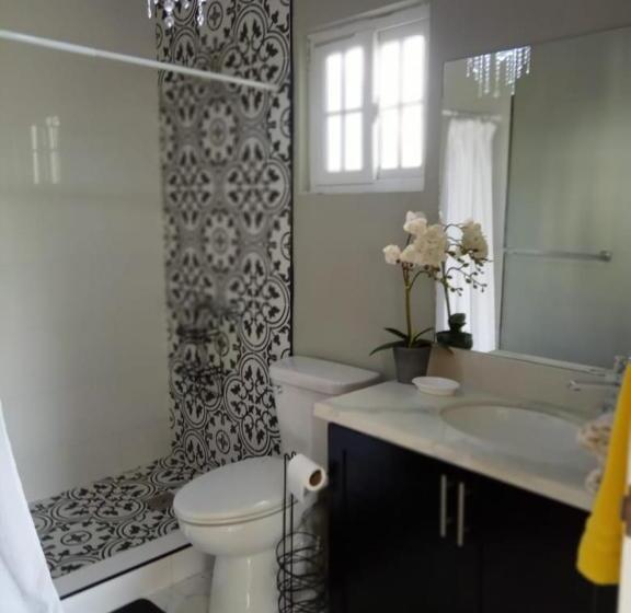 Pension (Hôtel basse catégorie) Sashamani Ville