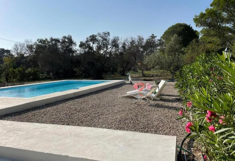 پانسیون Tenuta Palmarini