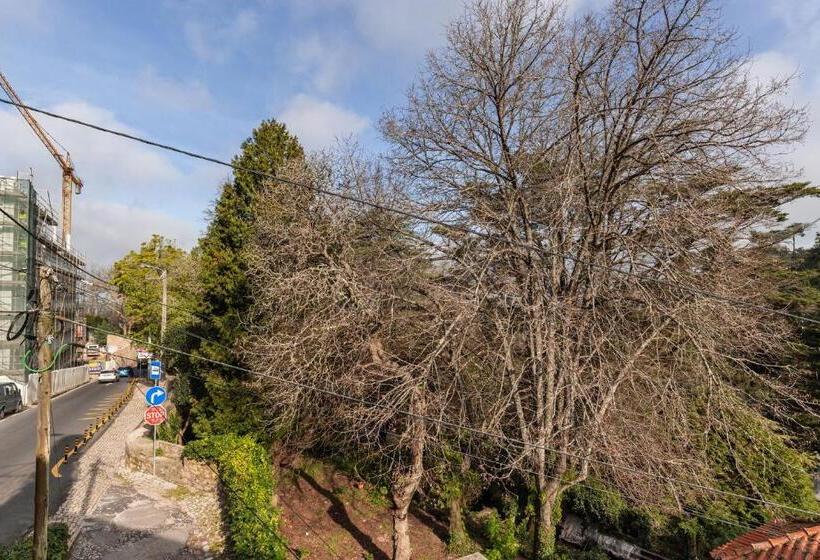 Отель Sintra Wow Unique Double Smart Room In 17th Century Palace! Hot Tub, Snooker, Bbq, Ps5, Sauna, Gym