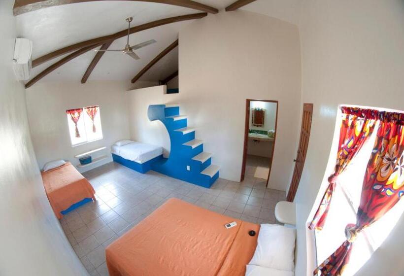 فندق Surf Sanctuary