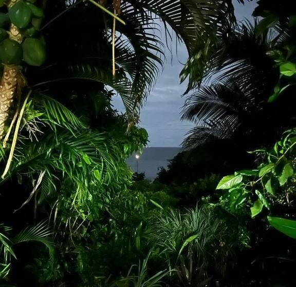 بنسيون L Atelier Gîtes Des Koalas