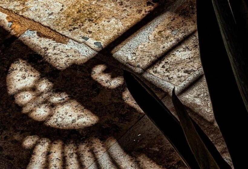 住宿加早餐  Ricci Rooms   Deluxe Suite By Salentoaffitti