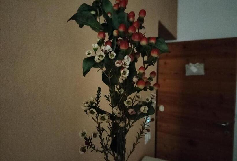 B&b Terre Di Bea