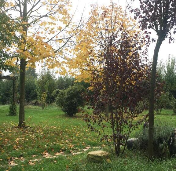 צימר La Fratta Art  House