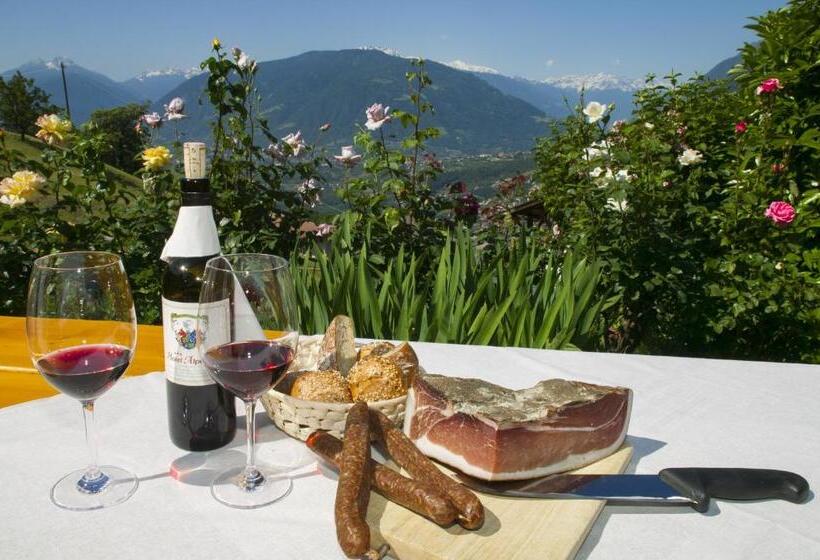 هتل Garni Alpenhof