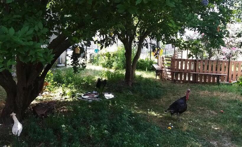住宿加早餐 Serendipity