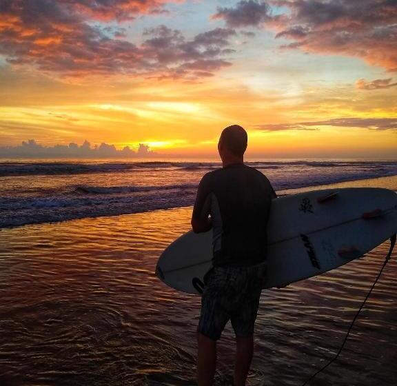 펜션 Oceanic Playa Matapalo