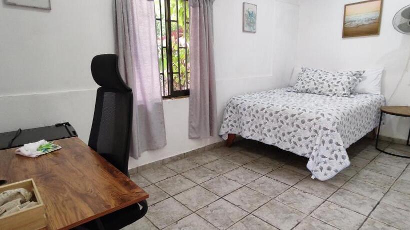 펜션 Oceanic Playa Matapalo