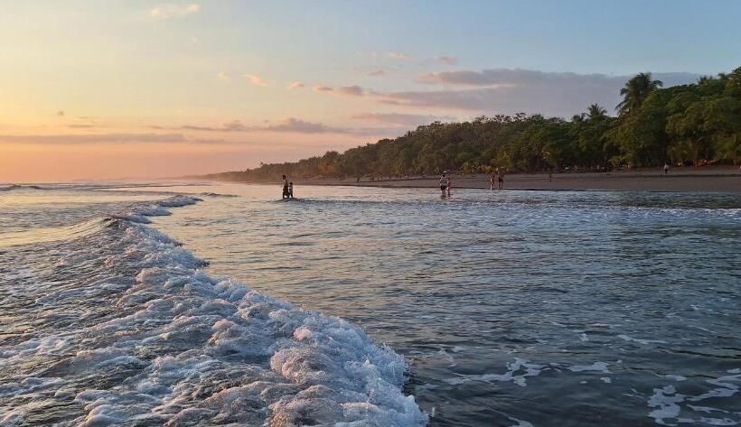 펜션 Oceanic Playa Matapalo