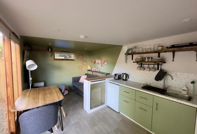 بنسيون The Snug: Dorset Hideaway